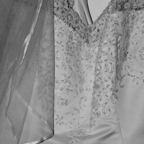 David's Bridal Dresses & Skirts - Wedding gown